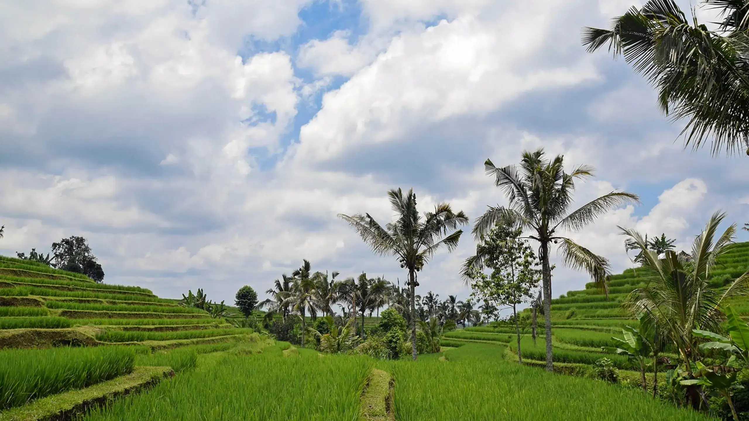 Bali
