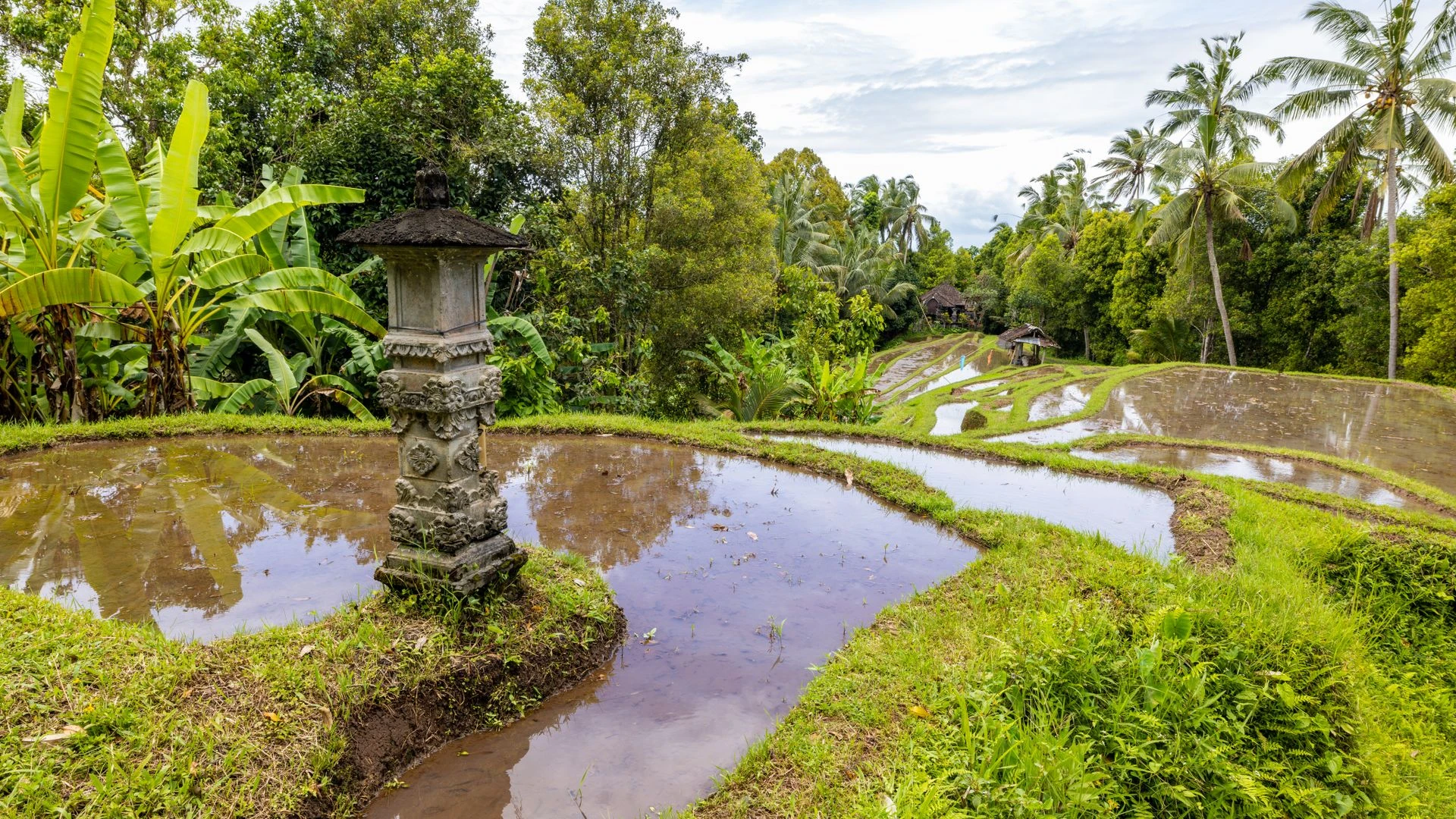 Bali tropical landscape jungle and volcanic hills
