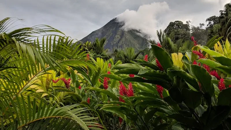 Costa Rica Arenal volcano rising above tropical rainforest