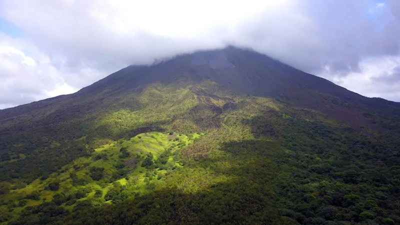Costa Rica dense rainforest canopy and wildlife habitat