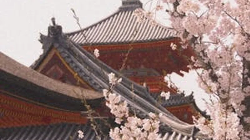 Japan Kyoto temple traditional architecture and gardens