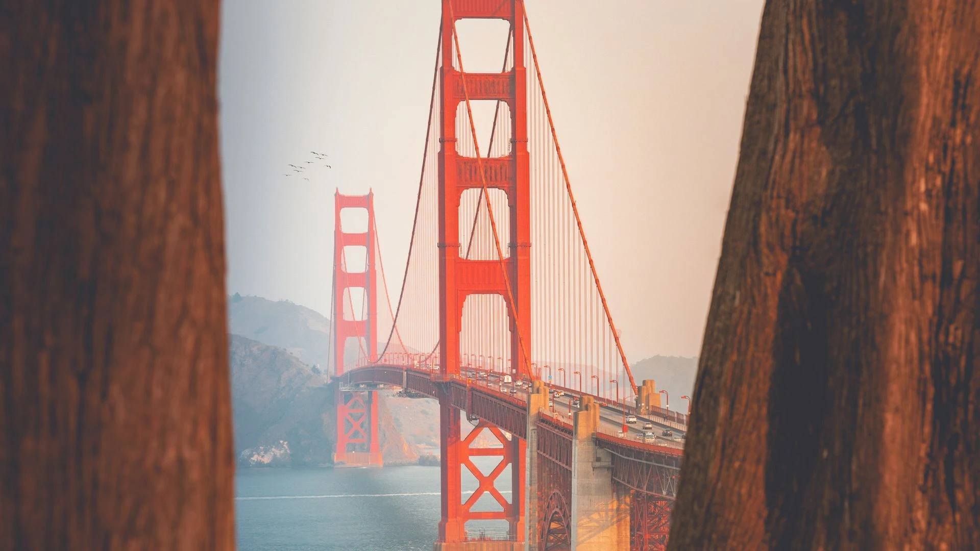 World Cup 2026 travel package — football action USA Mexico Canada