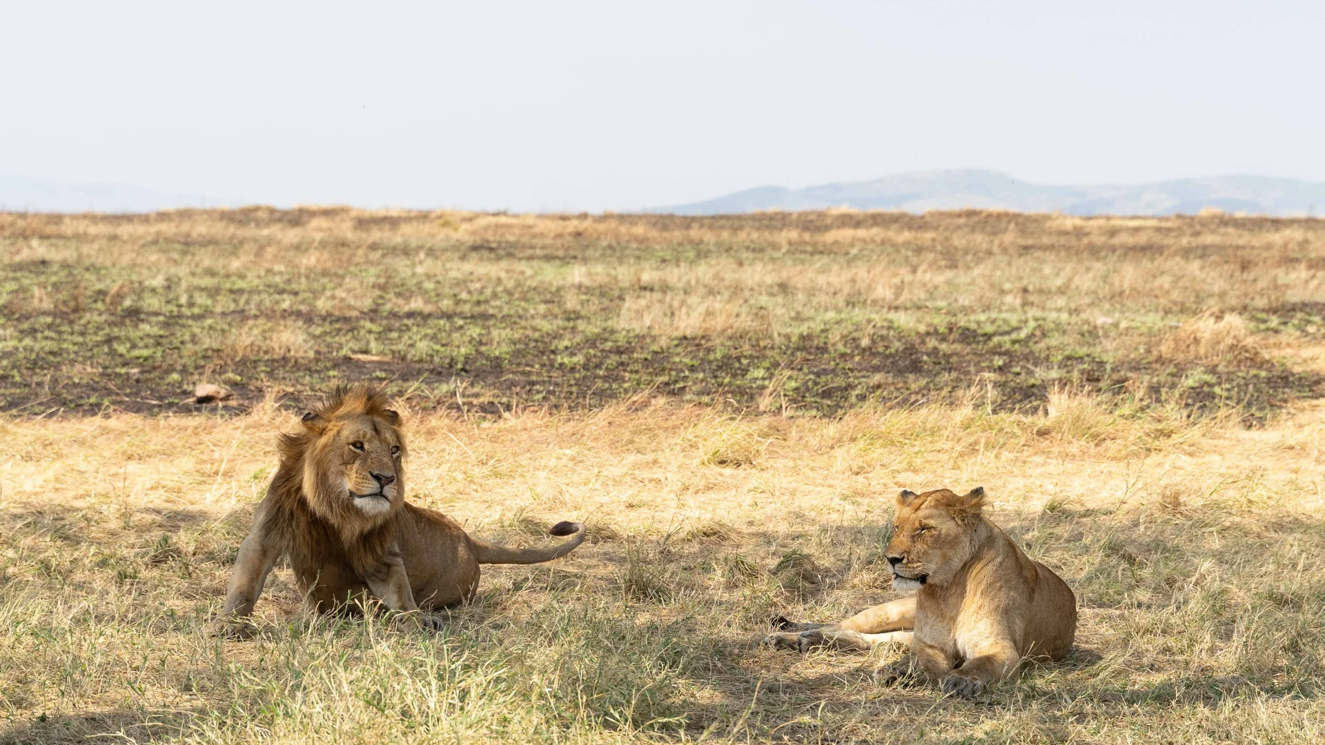 Serengeti National Park